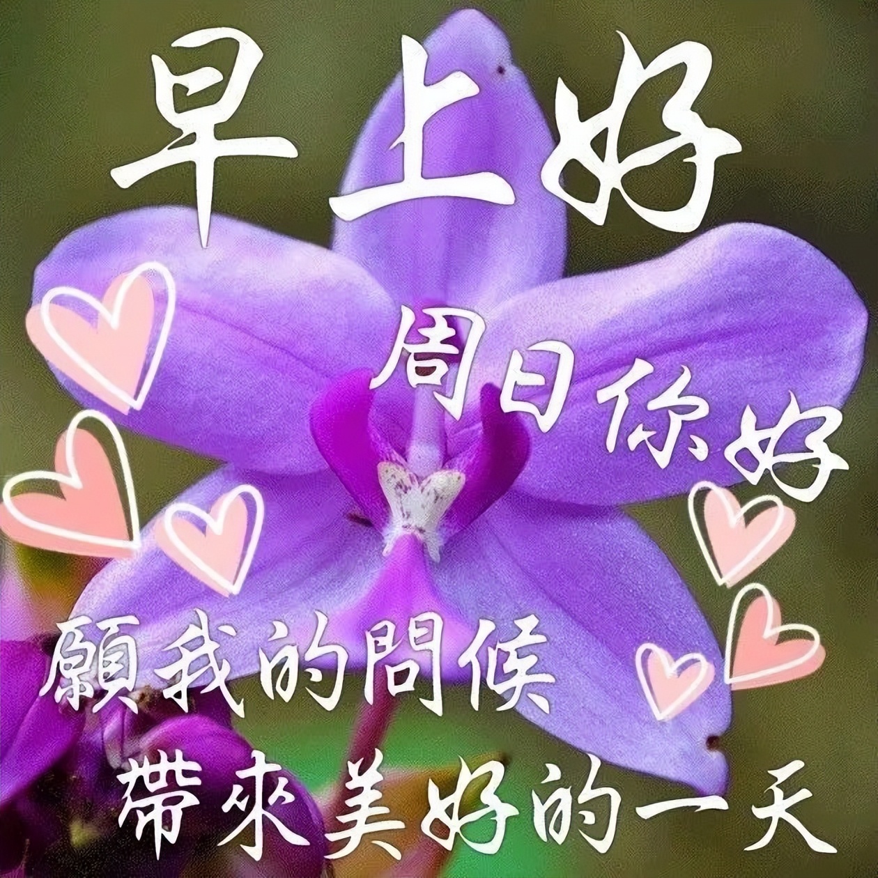 早上好微信早安心语励志语录分享，感谢好友一路相伴图片