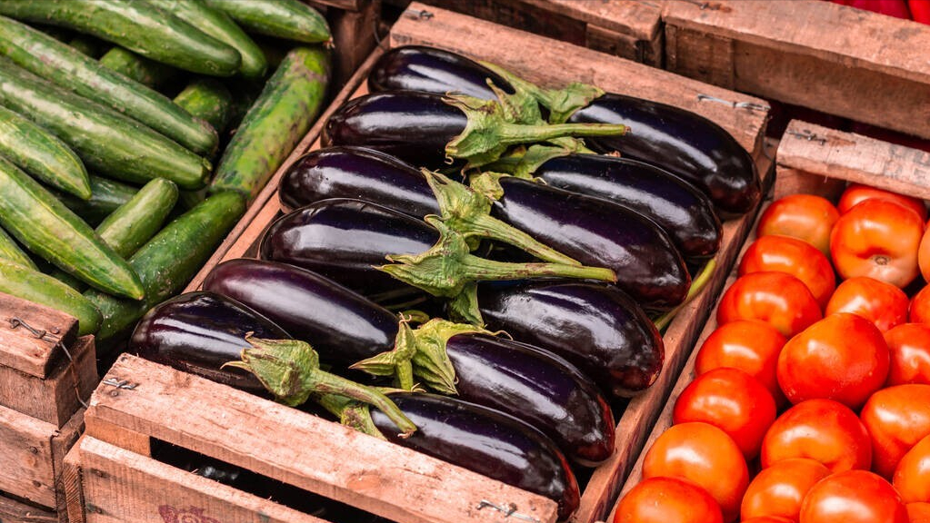 第15期/3月遇“开门寒”，种这几种菜最容易受灾