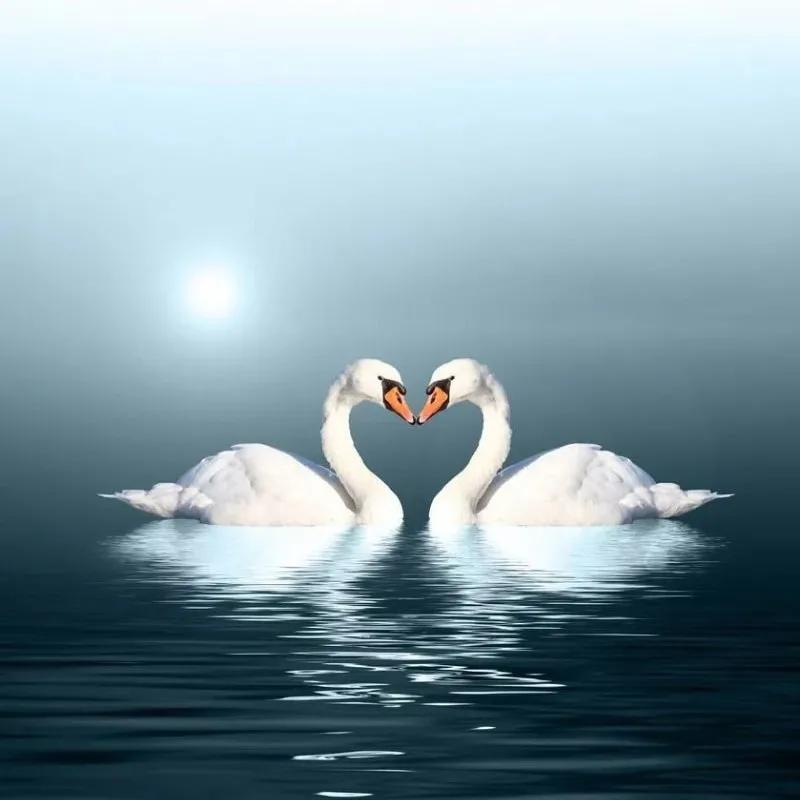 05 身体接触,拥抱和亲吻不是谈恋爱时候的专利,婚后也要多多爱抚你的