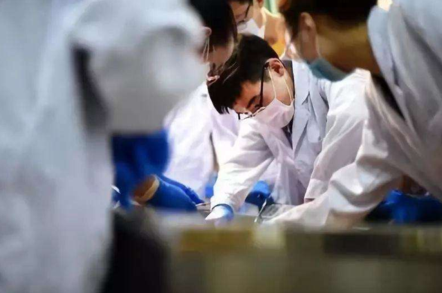 临床医学金字塔公布！上交大、浙大稳坐第一梯队，北大位居第三层