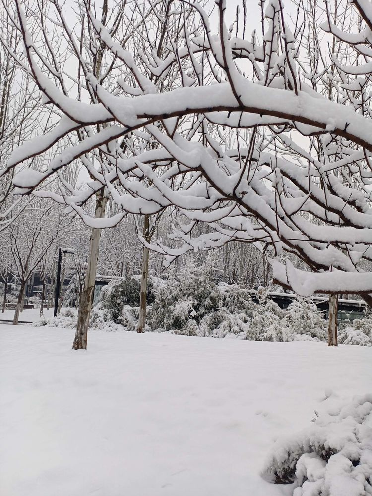 雪花飘落大兴城，这里的春天最美丽 作者：翟基生（快乐人生）