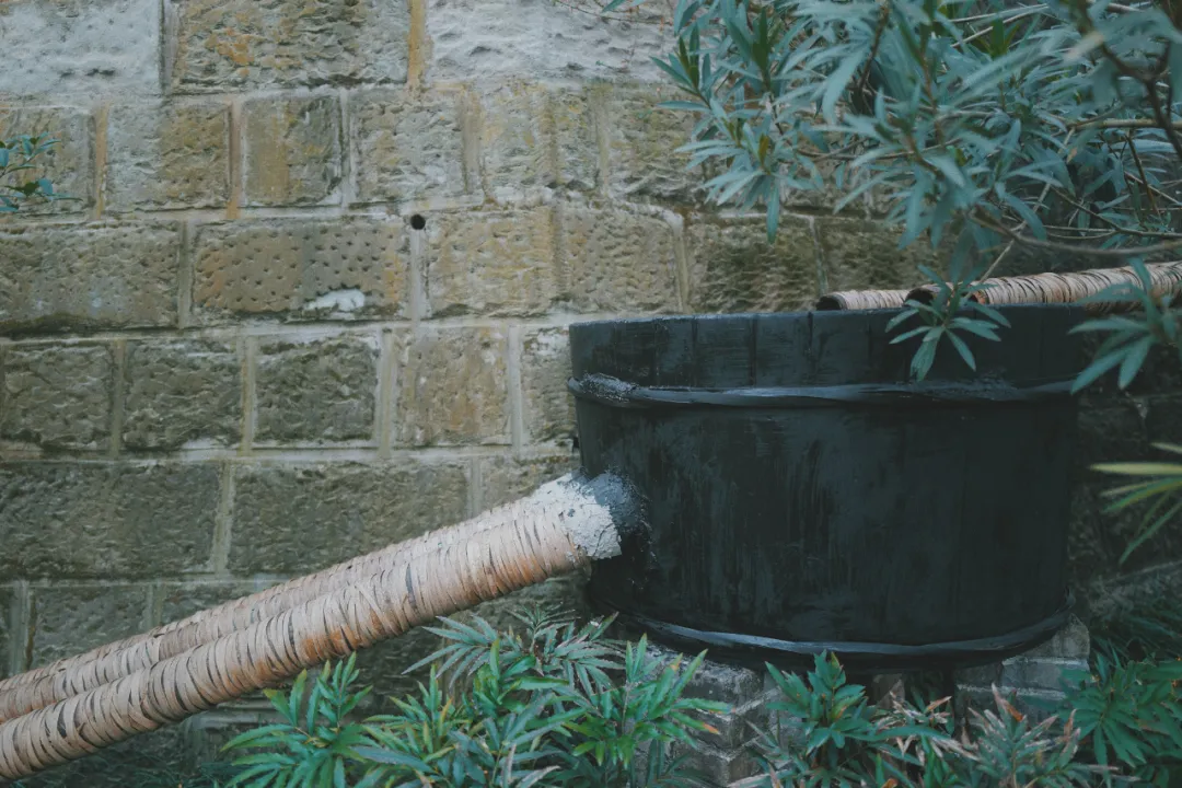 最近超火的盐帮菜之乡让我大开眼界，奇怪的知识又增加了