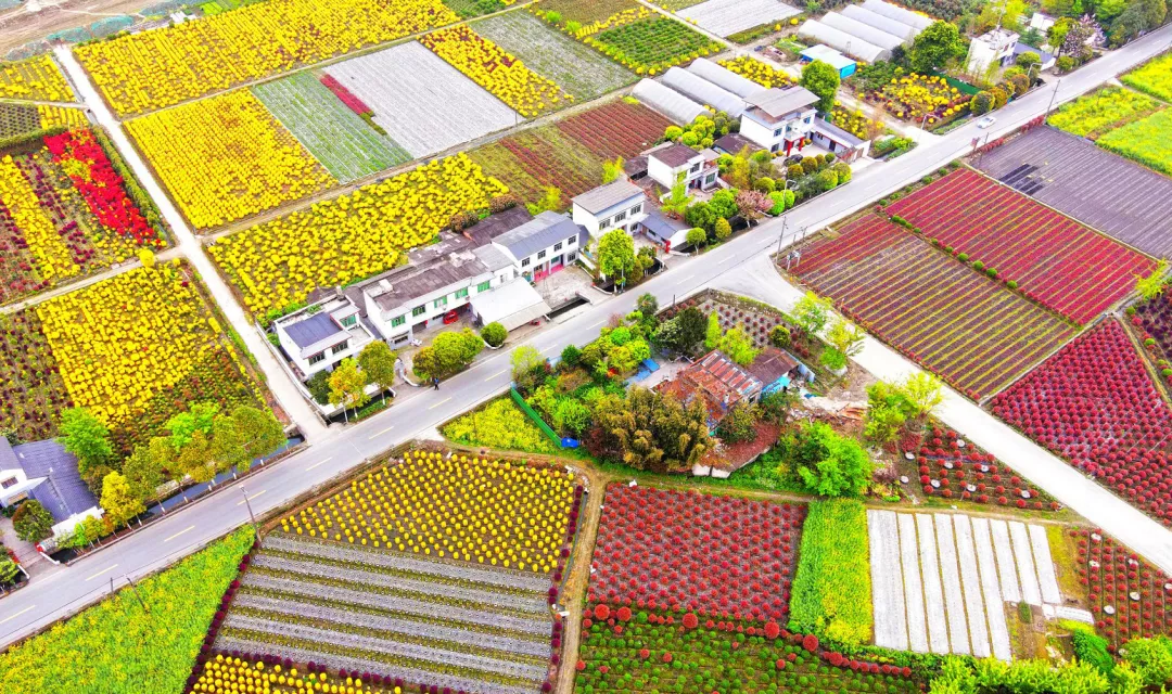 四川公布第二批鄉(xiāng)村治理示范村名單,，郫都2個村入選