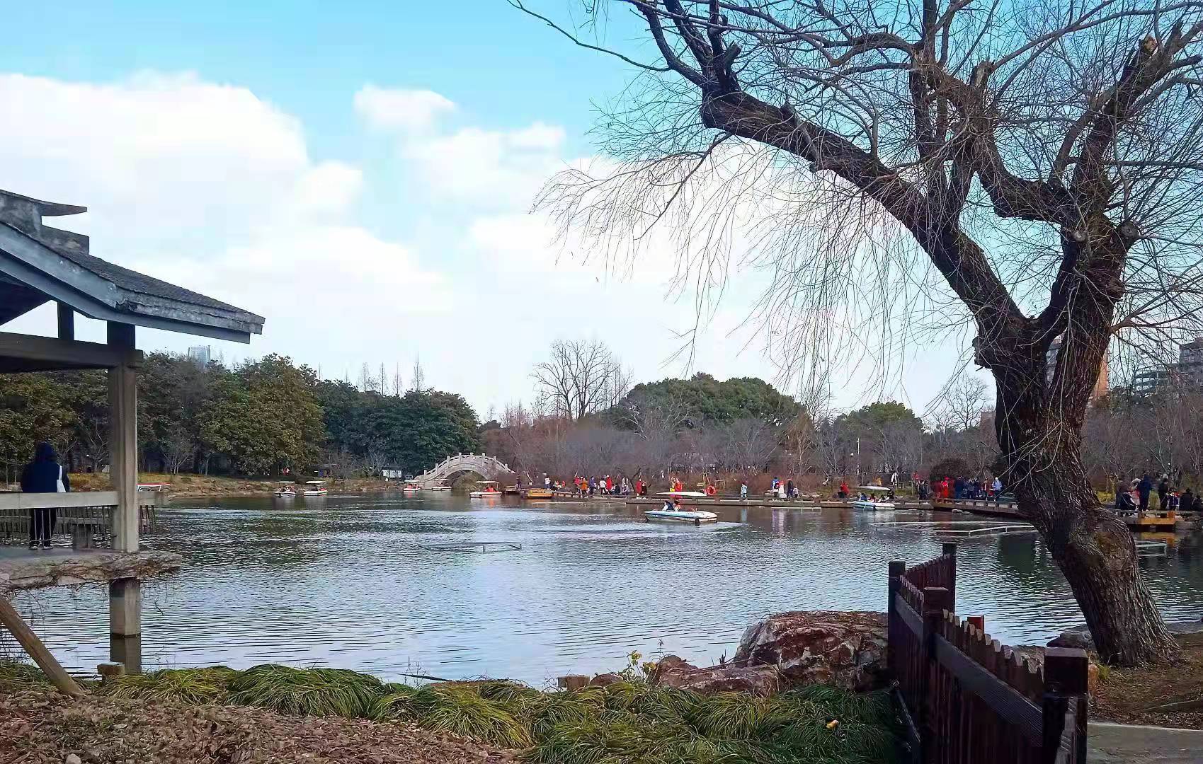 左扬钊手机掠影——新年公园览景 作者/铁一师 左扬钊
