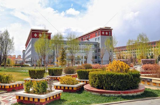 西藏大学宿舍（国内没有什么）