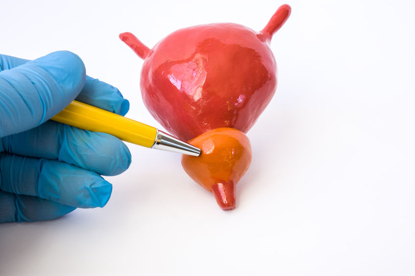 你还在憋尿？提醒：若不想这4大危害找上门，可别再憋了