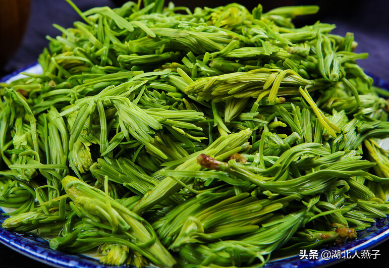 夏季摘野菜，送你61种野菜大图鉴，让你轻松认识各种野菜和吃法