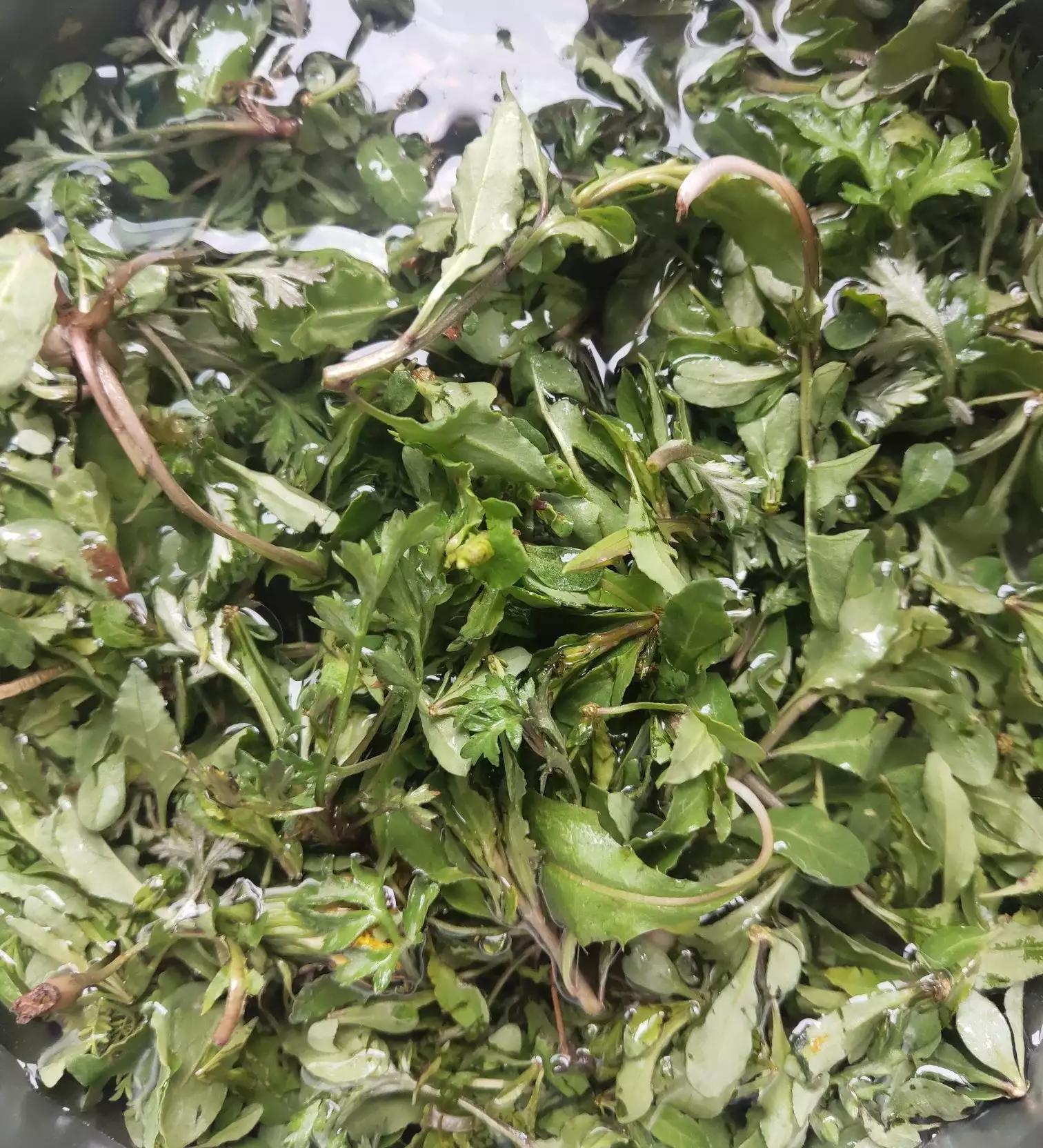 高三学生吃的什么饭菜？味道怎么样？3道家常菜 简单易学（图 文）