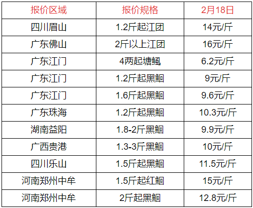 2022-2-18斑点叉尾鮰鱼价格