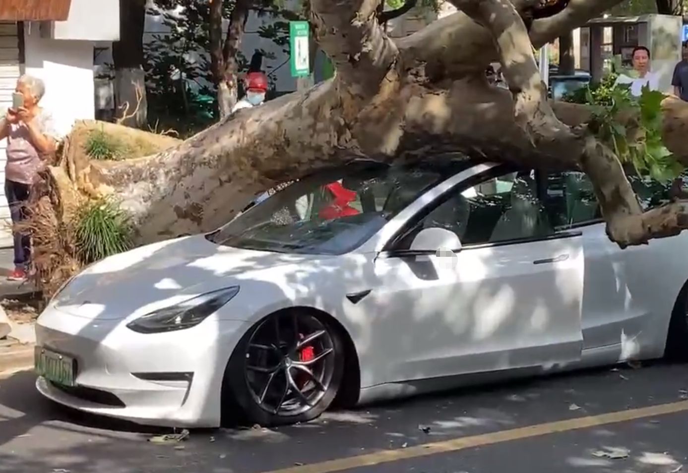 特斯拉玻璃车顶安全吗？江苏一Model 3被大树砸中车顶：司机无碍