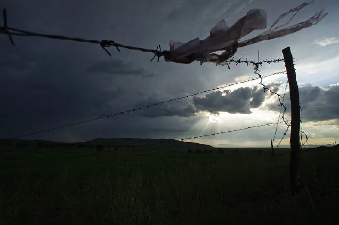 久石让栽了？或许大师眼里才能看到大多数人看不到的美