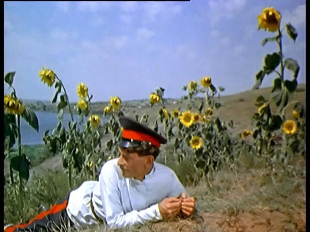 世界电影（0122）苏联电影《静静的顿河》（1980）剧照欣赏