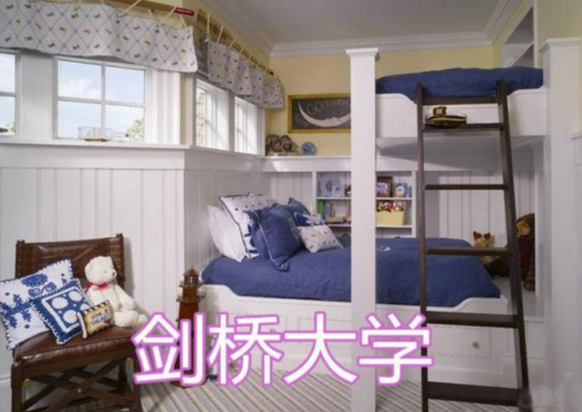 宿舍也分“三六九等”？北大和哈佛不在一个层次，网友：我去清华