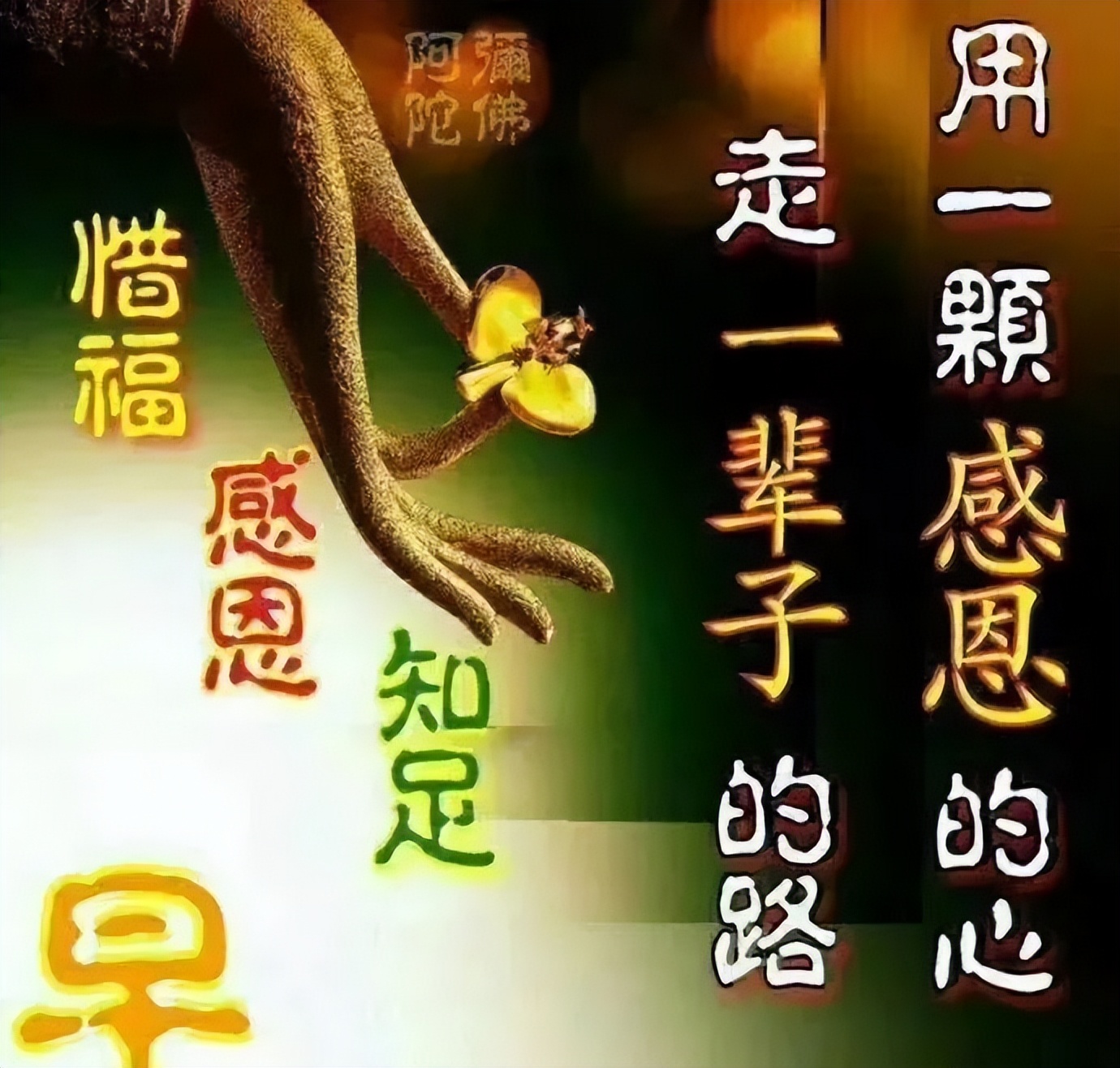 周三更新早上好表情包问候，精神好，心情好，事事顺心如意图片