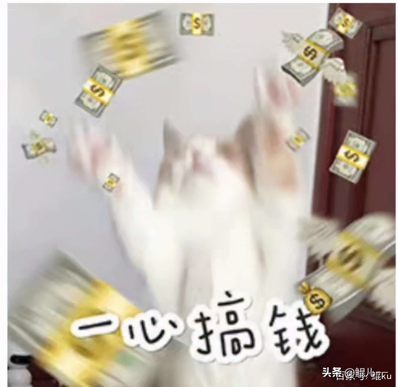 现在什么行业最挣钱？风口是什么？