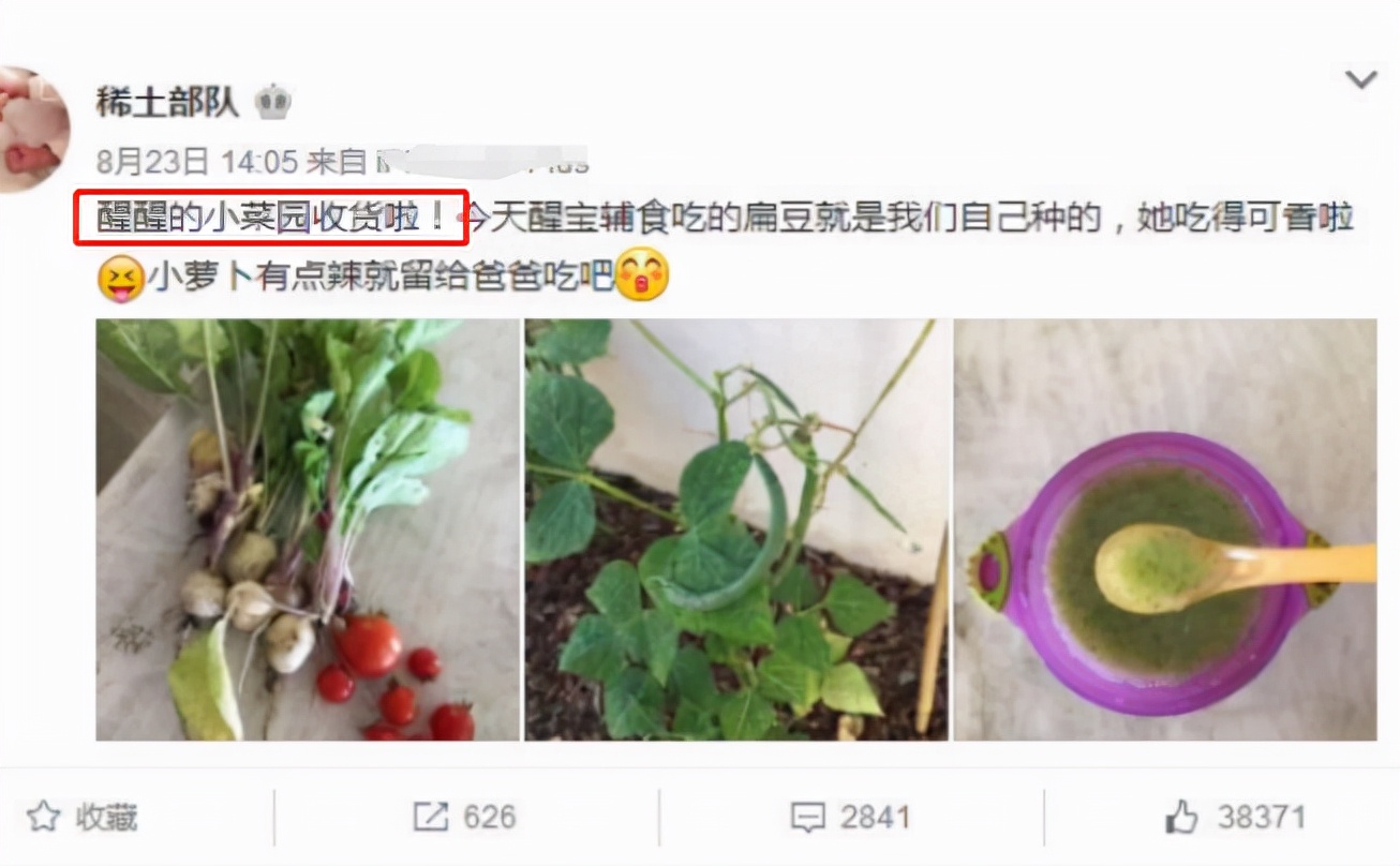 宝宝添加辅食的时间，别卡在6个月，观察“3动1值”更准确