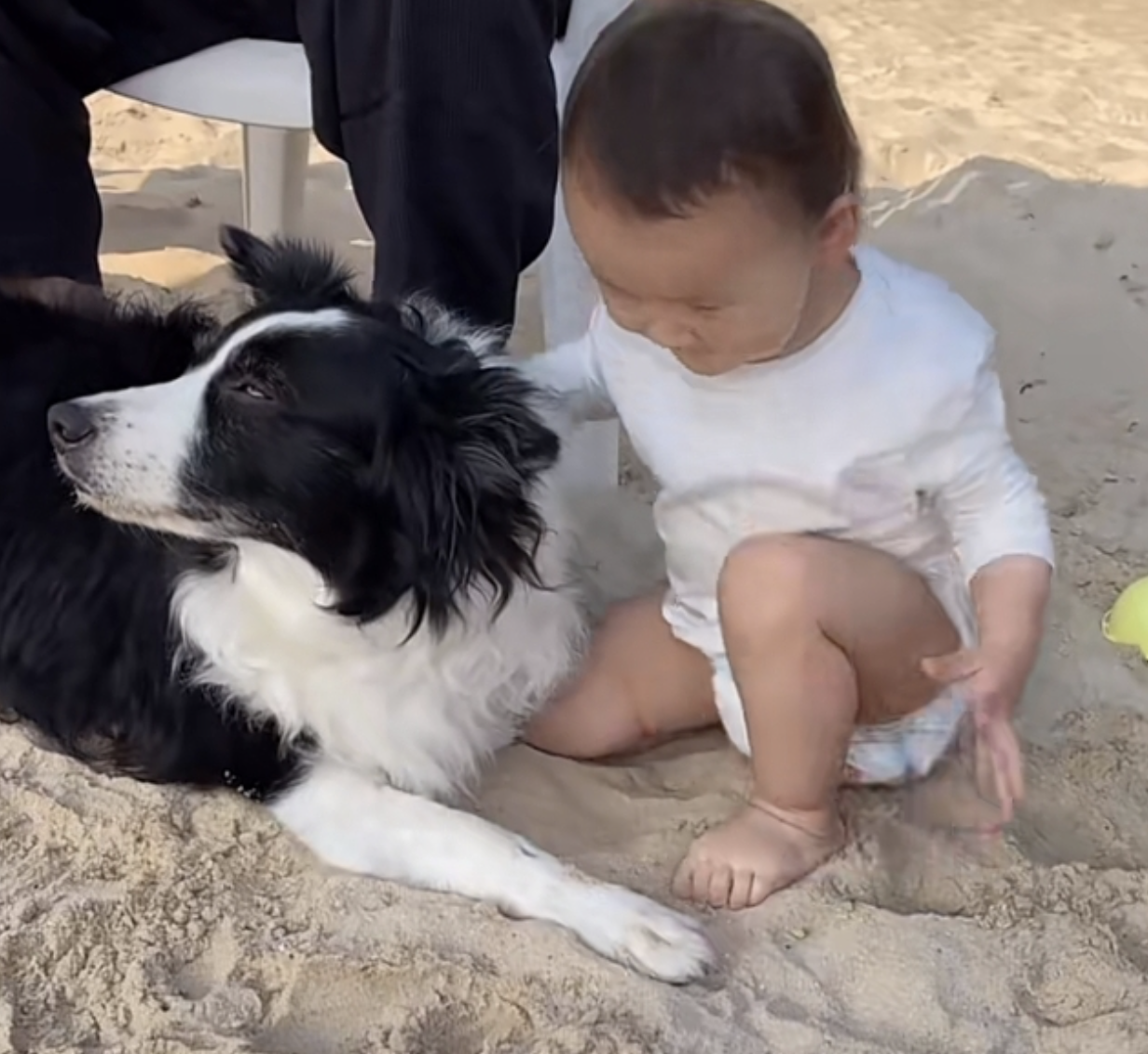 林峯携妻儿海边度假，拥女儿入怀被喊爸爸，格格大脑门被赞有福气