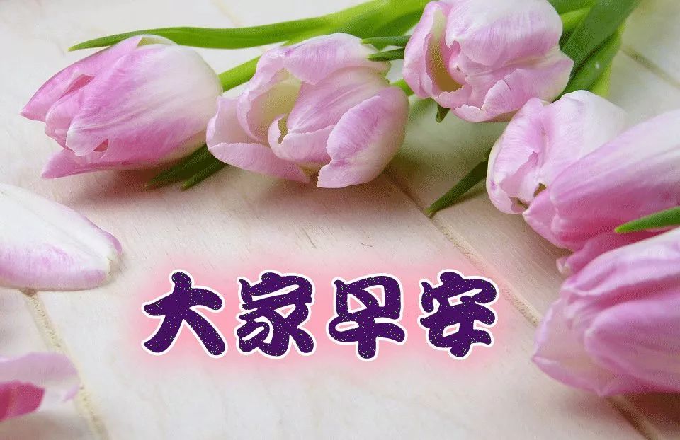 微信群发早上好的祝福语录句子 等到病疫散，咱们再相聚，战疫必胜图片