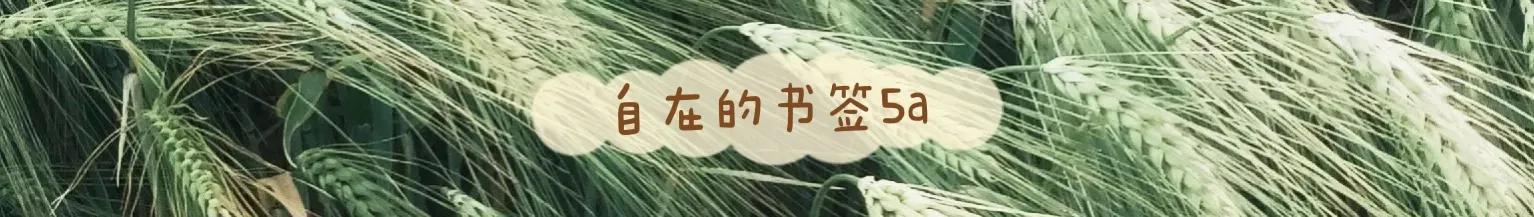 若你决定灿烂，山无遮，海无拦