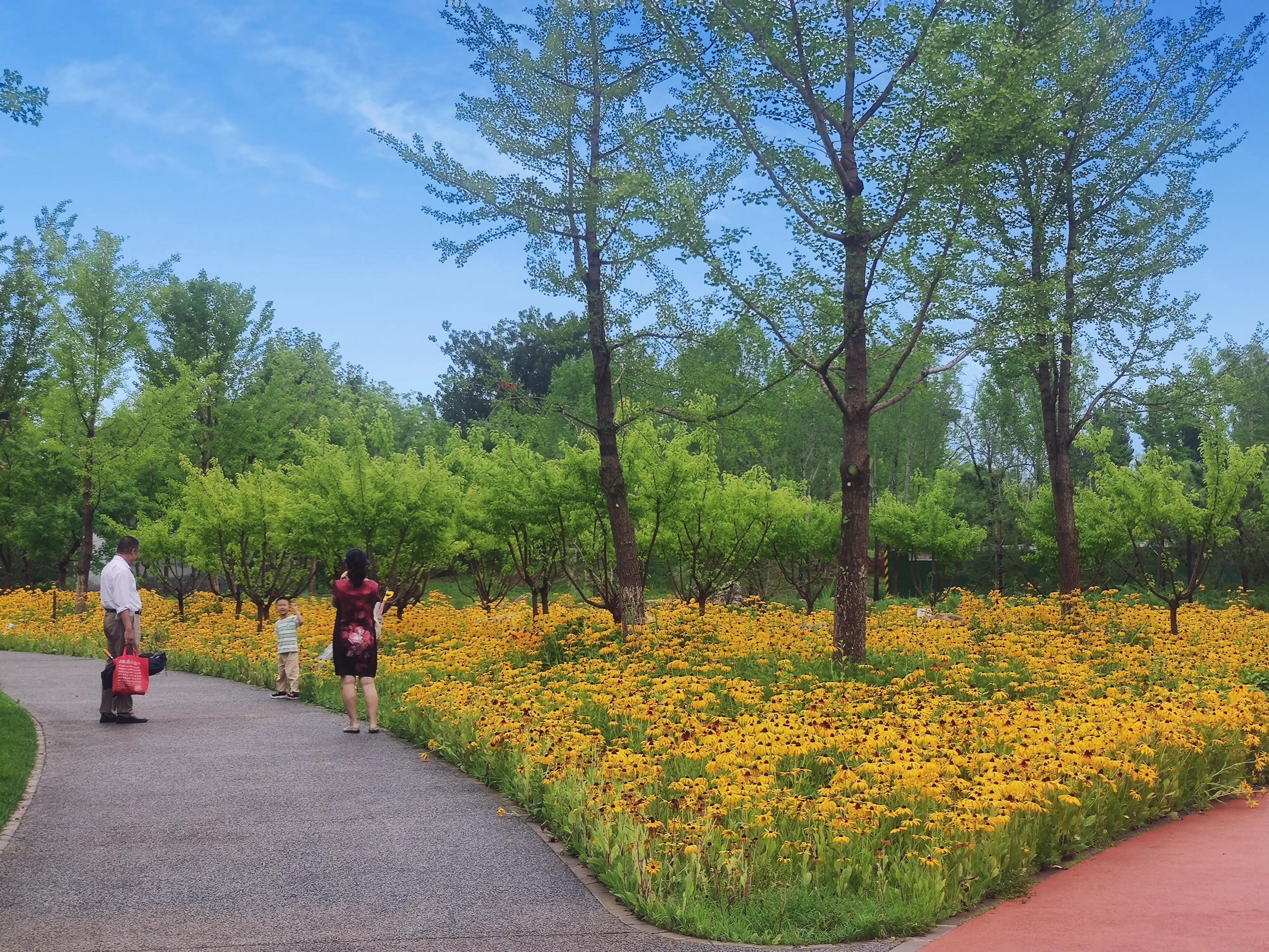 霍营公园,这才叫天籁之音