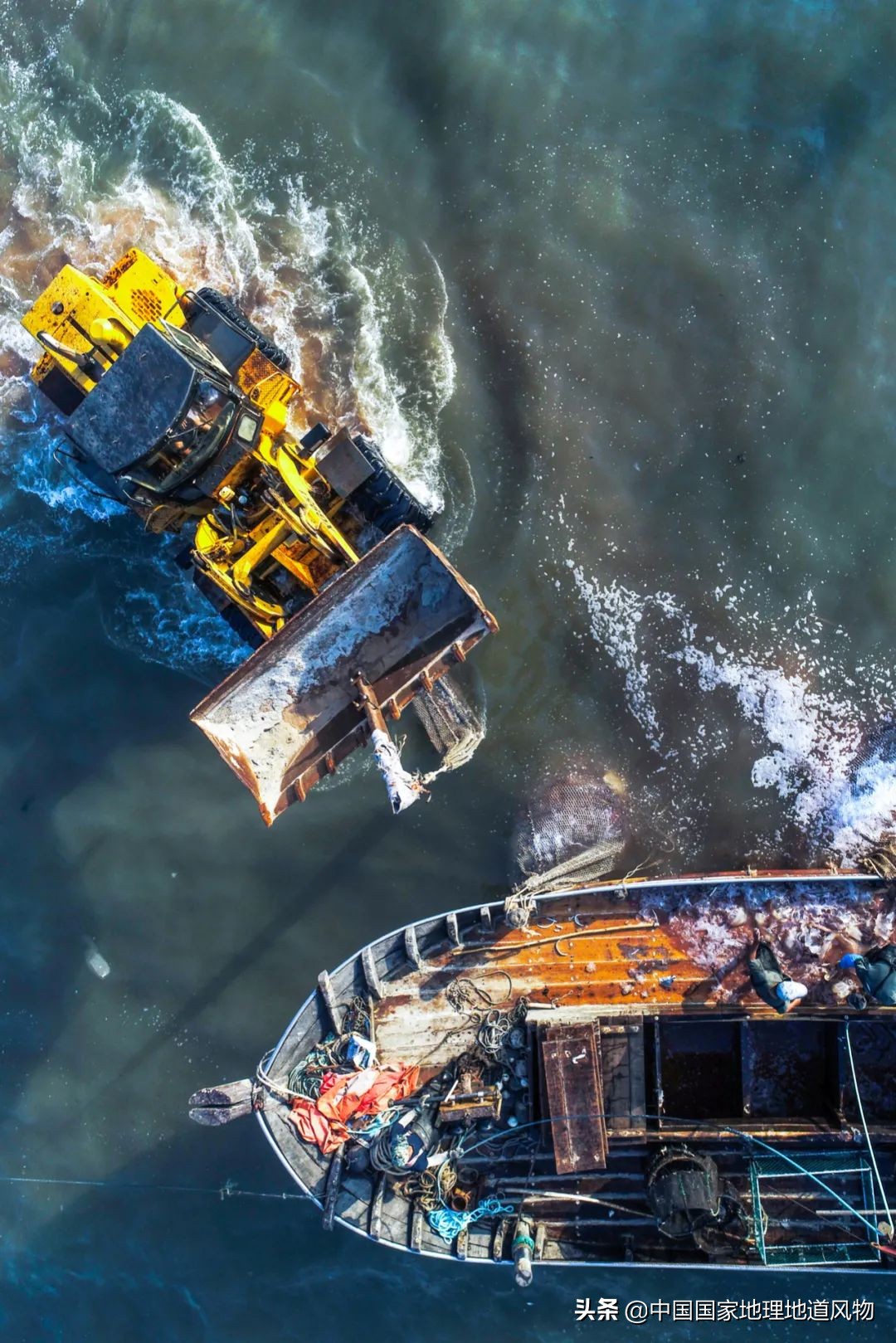 辽宁，被忽略的海鲜大省