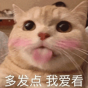 狗粮哪个牌子的品质好(幼犬狗粮什么牌子的好) - 114货源网