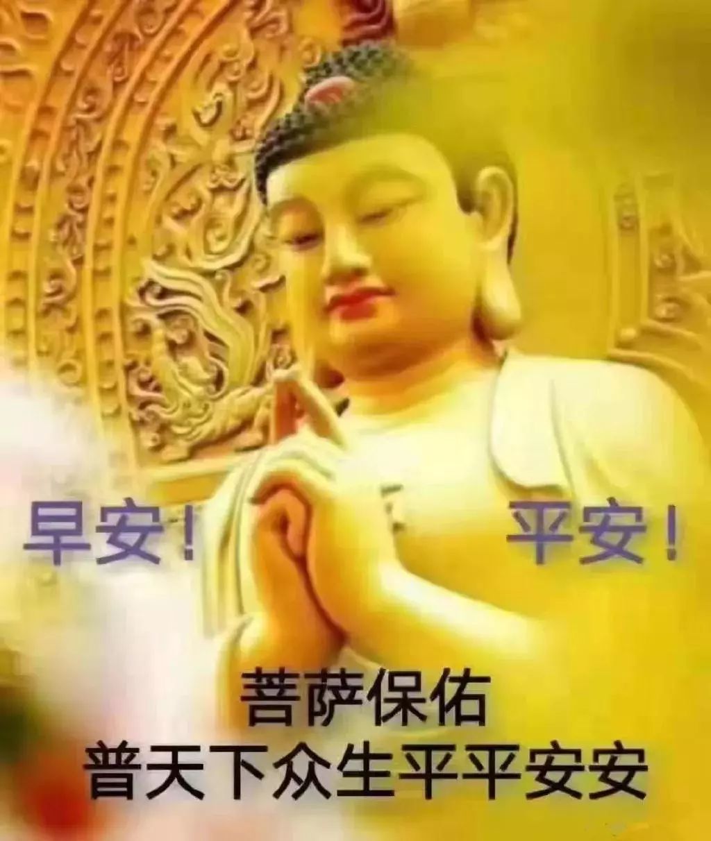 早晨好动图表情套图分享 愿你一切都好，万事顺心图片