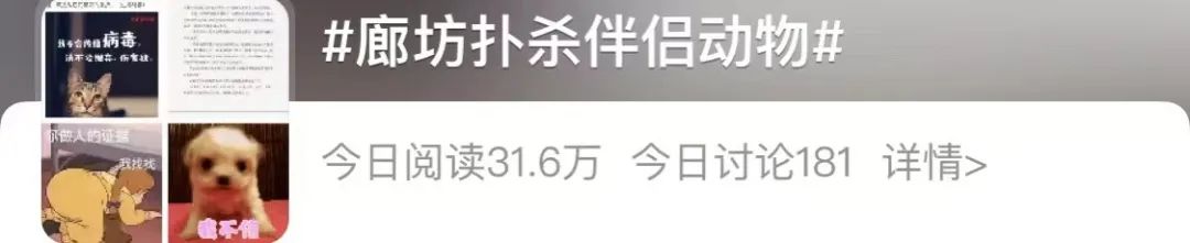 10分钟看哭7次！当他们不再“有用”的时候，却也无法正常生活