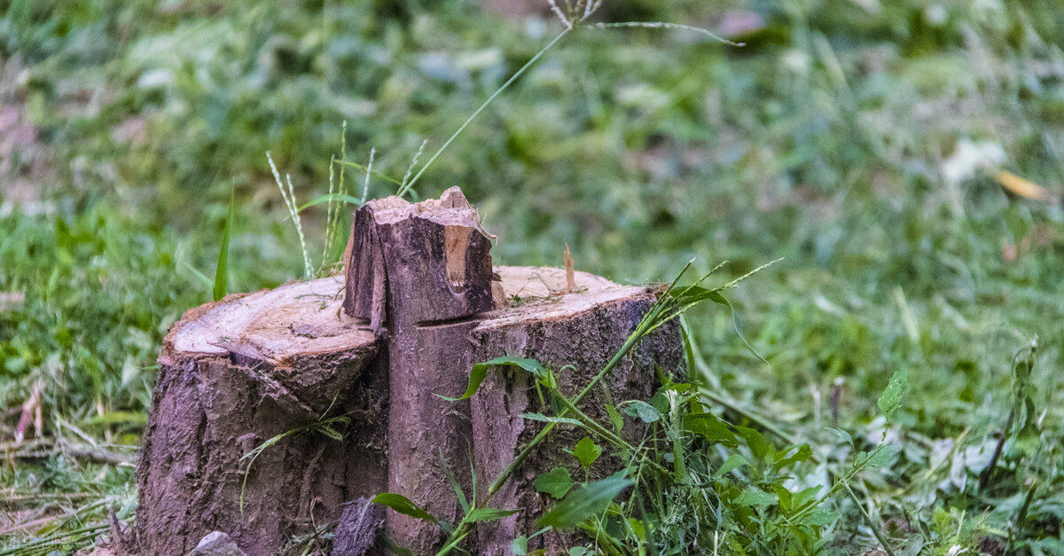 “最惨投保者”：为了投保被迫贷款几万元，结果还被代理人坑...