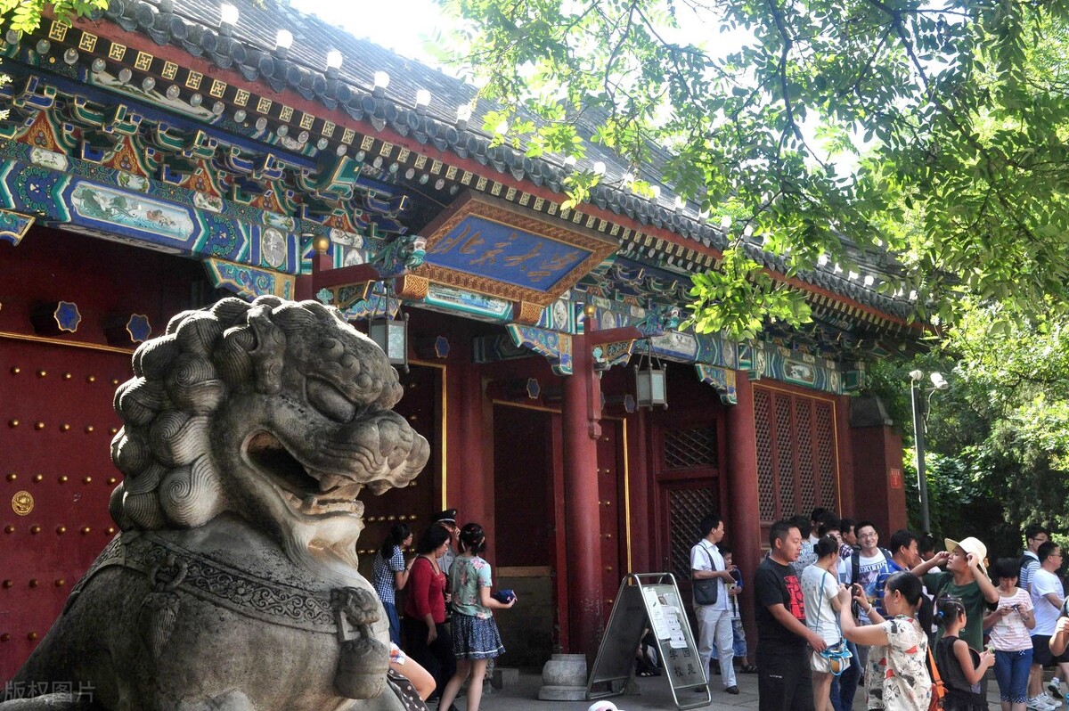 18年前，那个被迫当街杀猪卖肉的“北大才子”陆步轩，如今咋样了