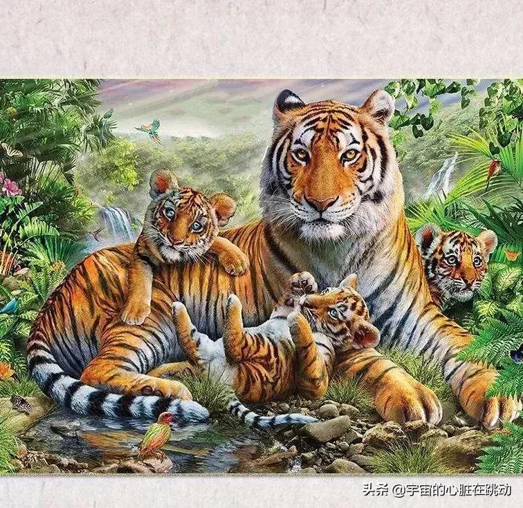 �����ĺ��������ѹ����˹��