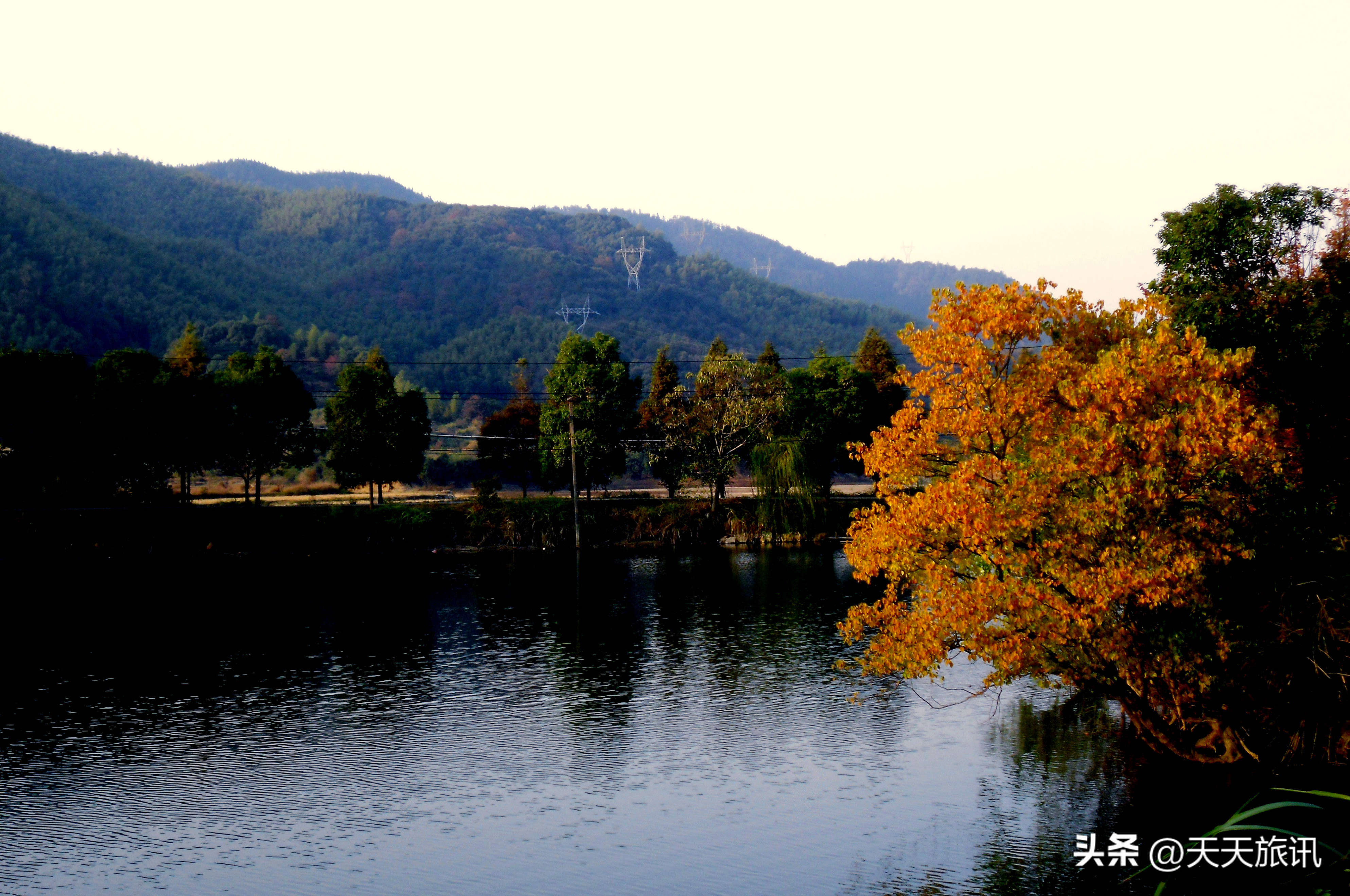 空气好的景色排行(江西18地入选"中国天然氧吧",空气好景色美,你去过