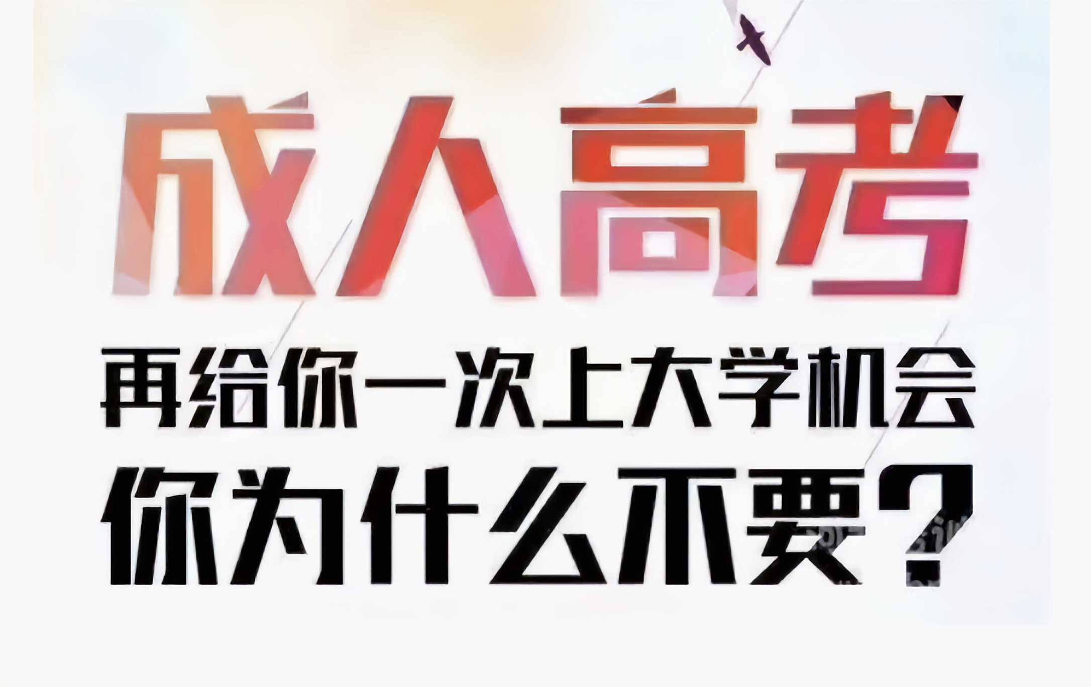2022年山东成人高考大专有哪些热门专业？