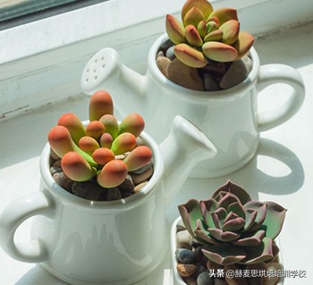 赫麦思烘焙培训班 翻糖蛋糕入门课程