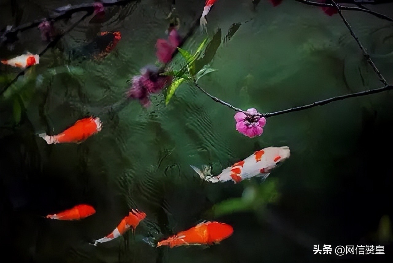 十首古诗致青春：愿我们出走半生，归来仍是少年