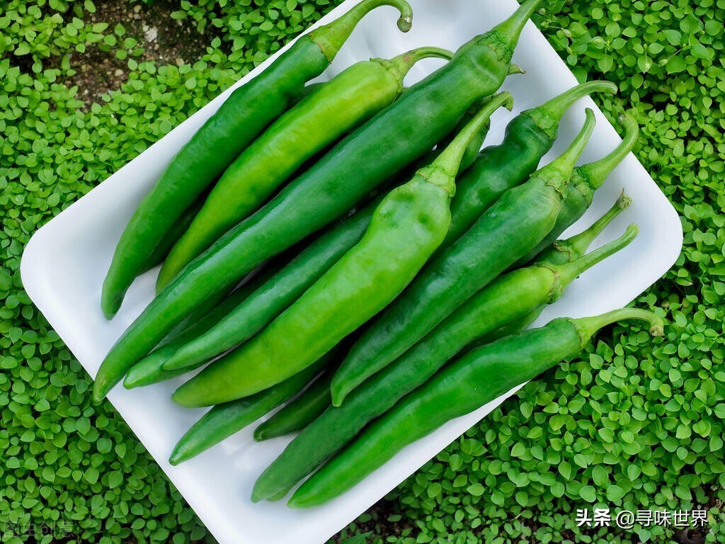 蔬菜都有什么(蔬菜要因时而食，记住1到12月应季蔬菜一览表，应季而食身体棒)