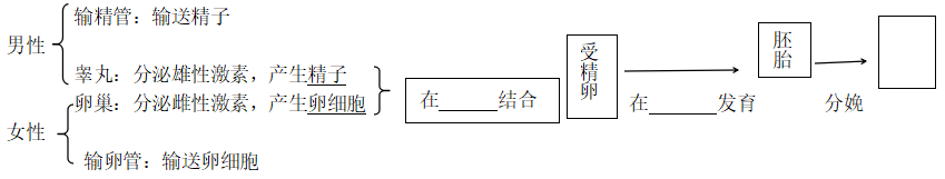 最新2023中考生物知识点整理