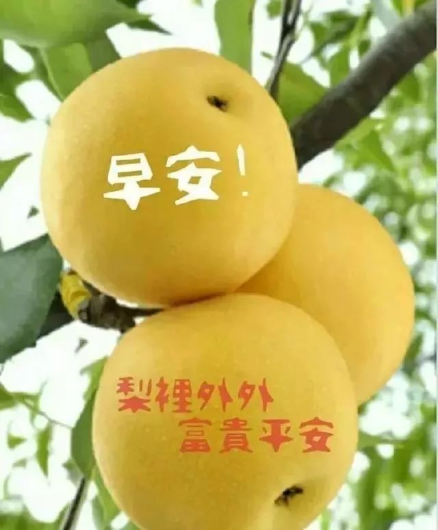 星期一早上好表情包，希望你度过美好的一周，天天问候表心声图片