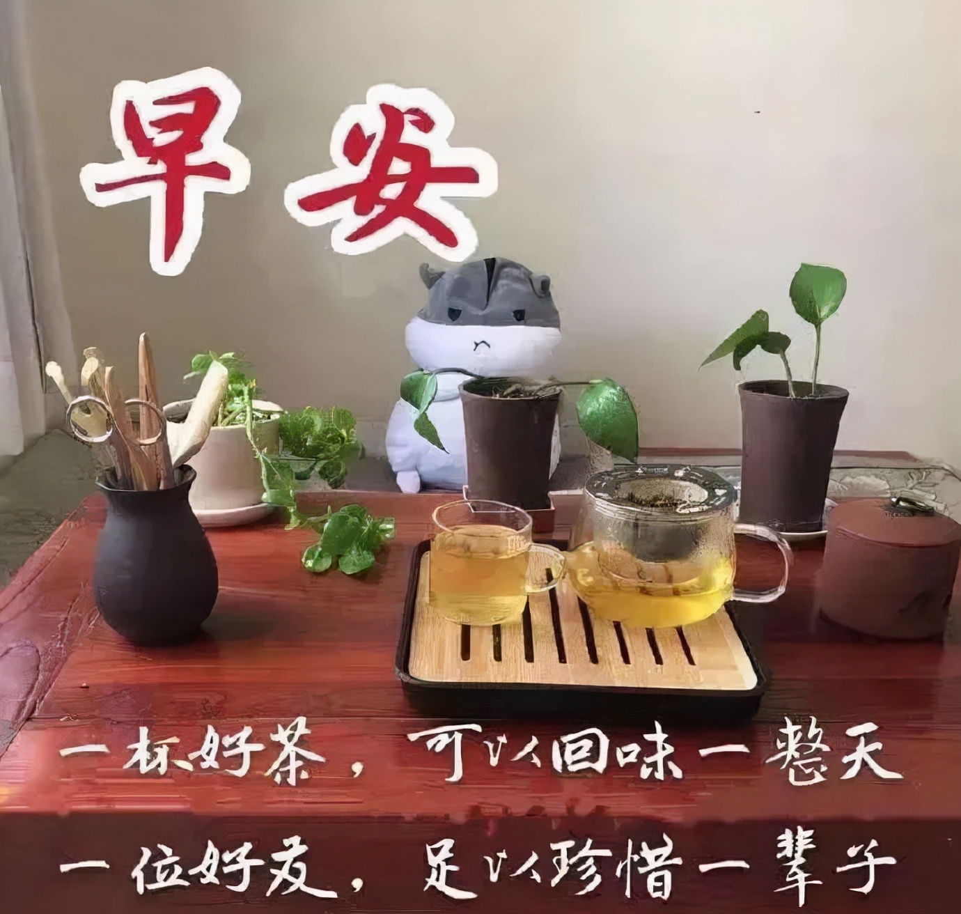 忙碌中保重自己,快乐中享受生活,早安