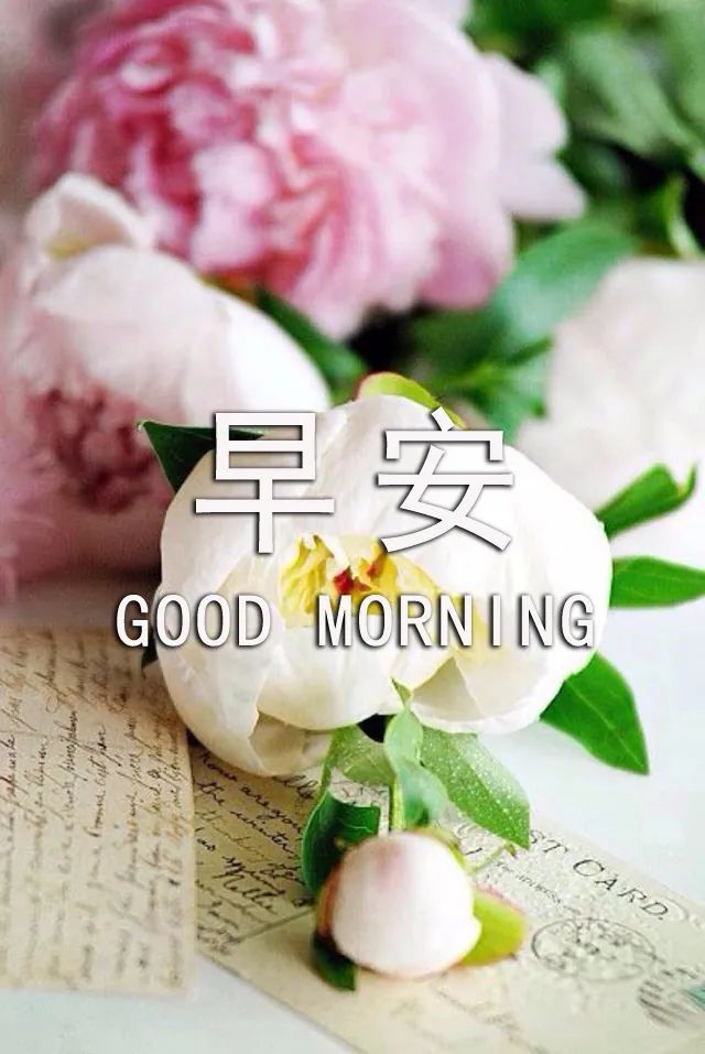 早上好动态表情图片大全 夏日早上好问候语 愿你快乐、幸福永远图片