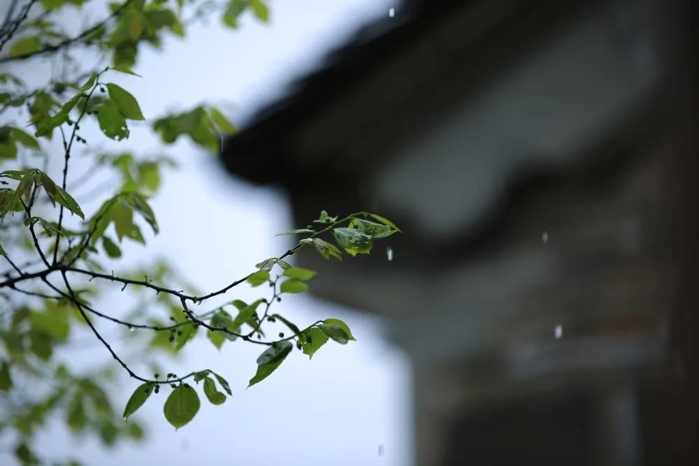 女人梦到从坟墓边走过什么意思_达一风水网