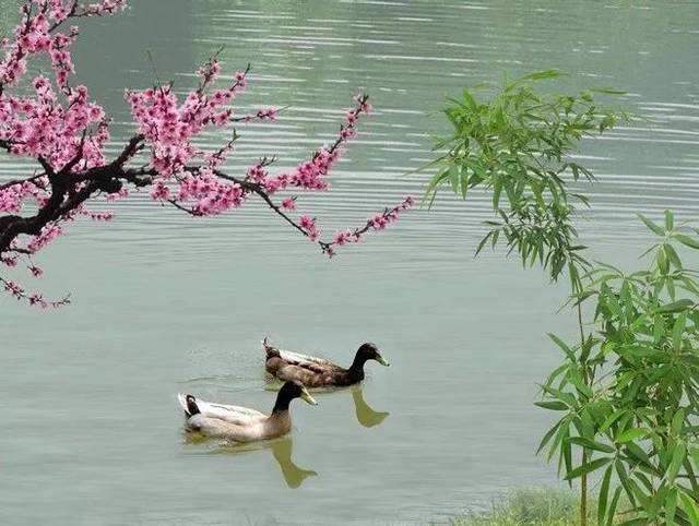 两个给别人改诗的例子，都是名人，谁在画龙点睛，谁在狗尾续貂？