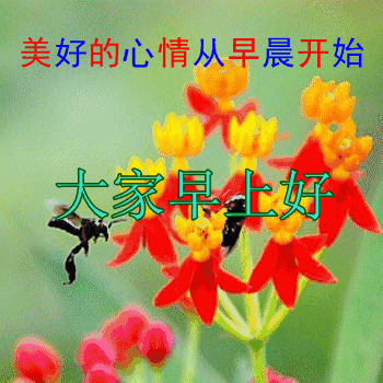 2022早上好问候语最新动态祝福图片 清晨阳光照在身 祝你幸福又平安图片