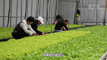 新华全媒+｜“Z世代”的种植达人是怎样炼成的？