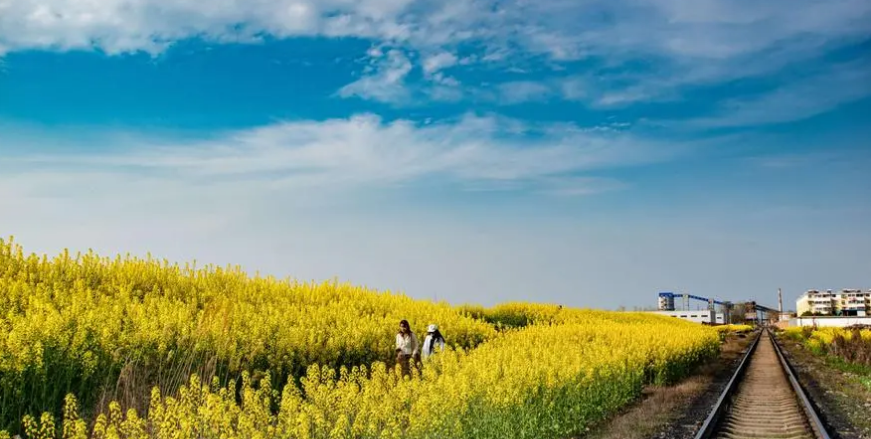 「诗词鉴赏」春日正好，春花烂漫，在古诗词里寻找最美的春日