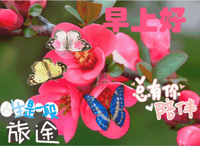 新周早上好祝福语图片大全，愿一个祝福带给你一个新的起点图片