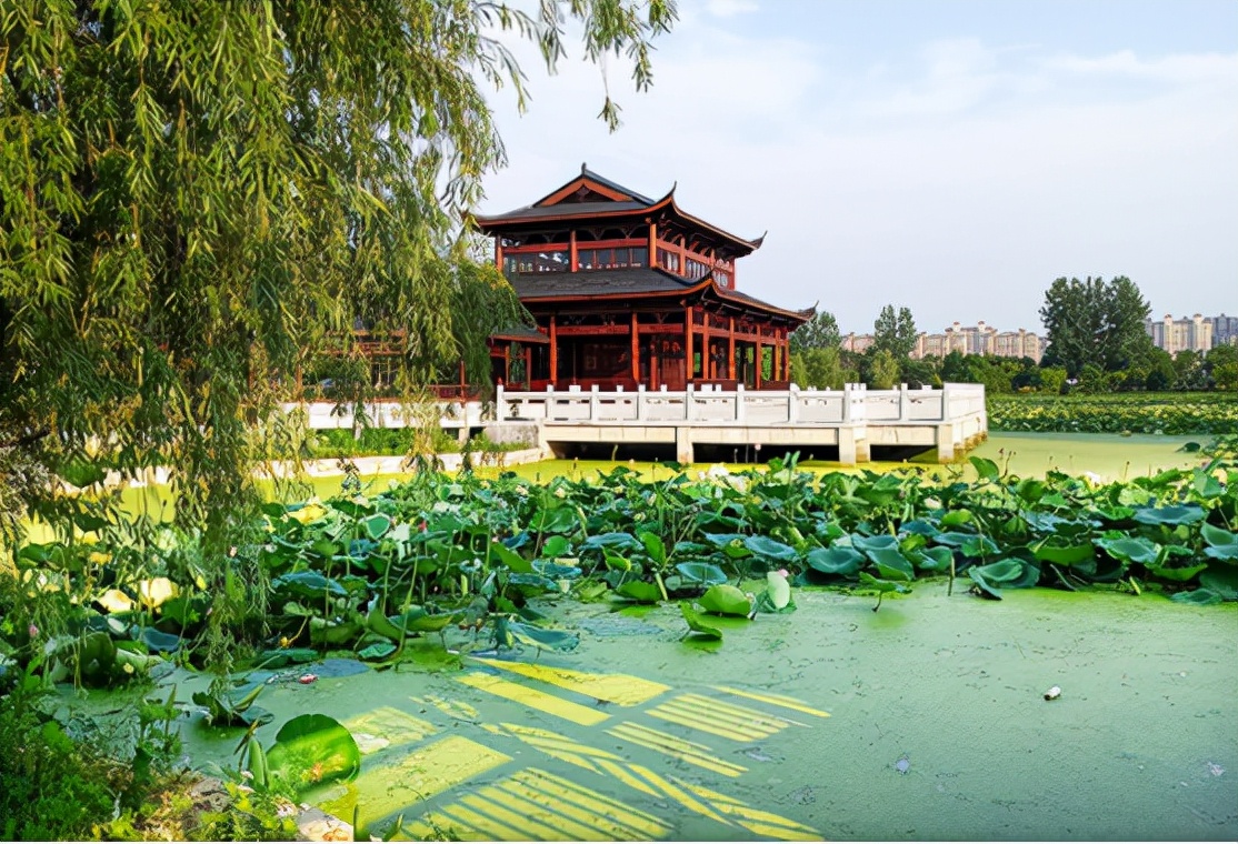 安徽考生捡漏的机会，3所专科大学有望升为本科，不妨提前关注