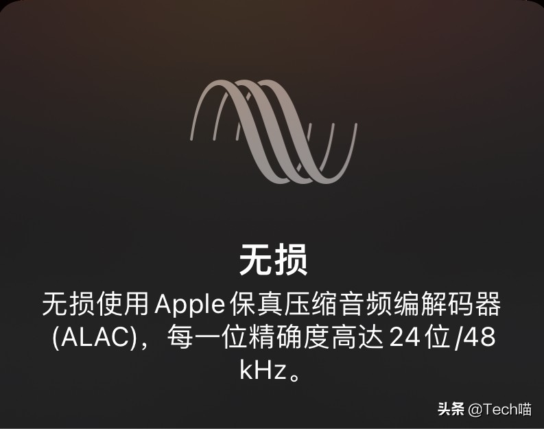 我能使用 CarPlay 车载聆听无损音频吗？