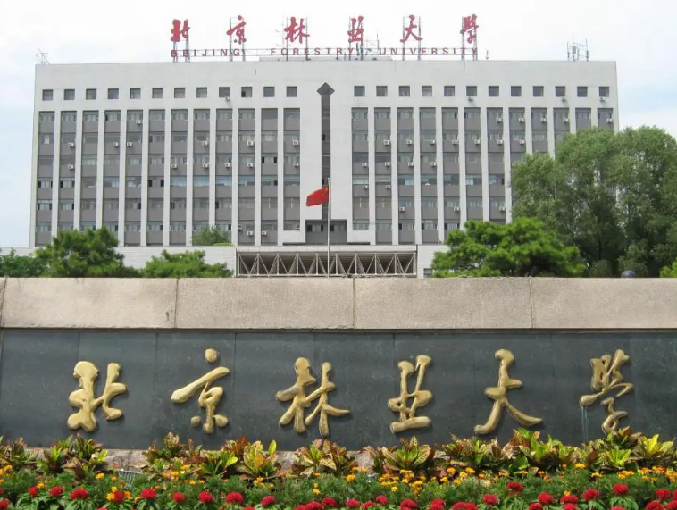 河北学生的福气来了，北京多所高校将落户雄安，其中包含不少名校