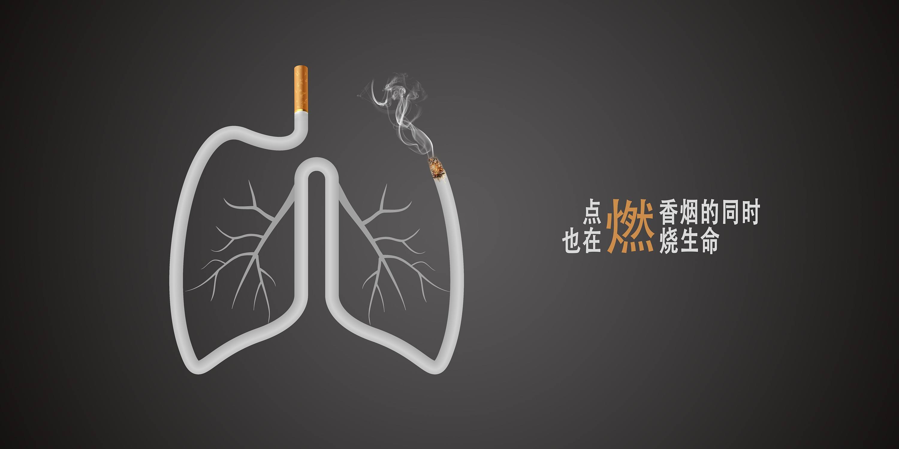 肺部杀手：以吸烟有害健康的标语对抗万宝路男人，反烟者的控诉史
